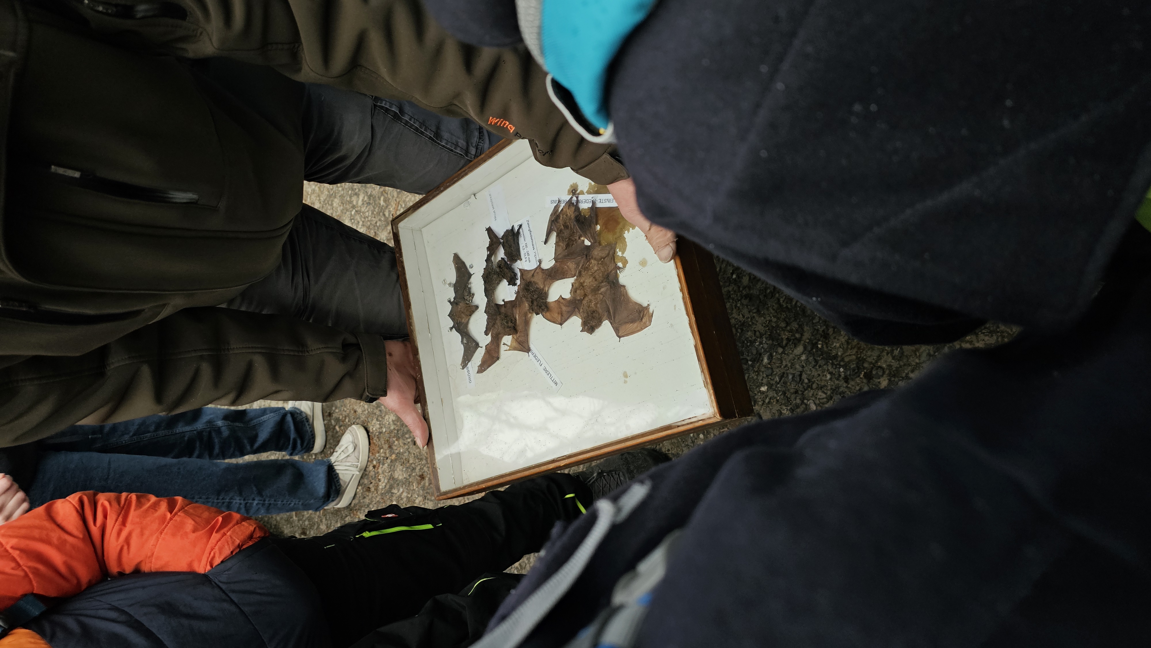 Vorschaubild